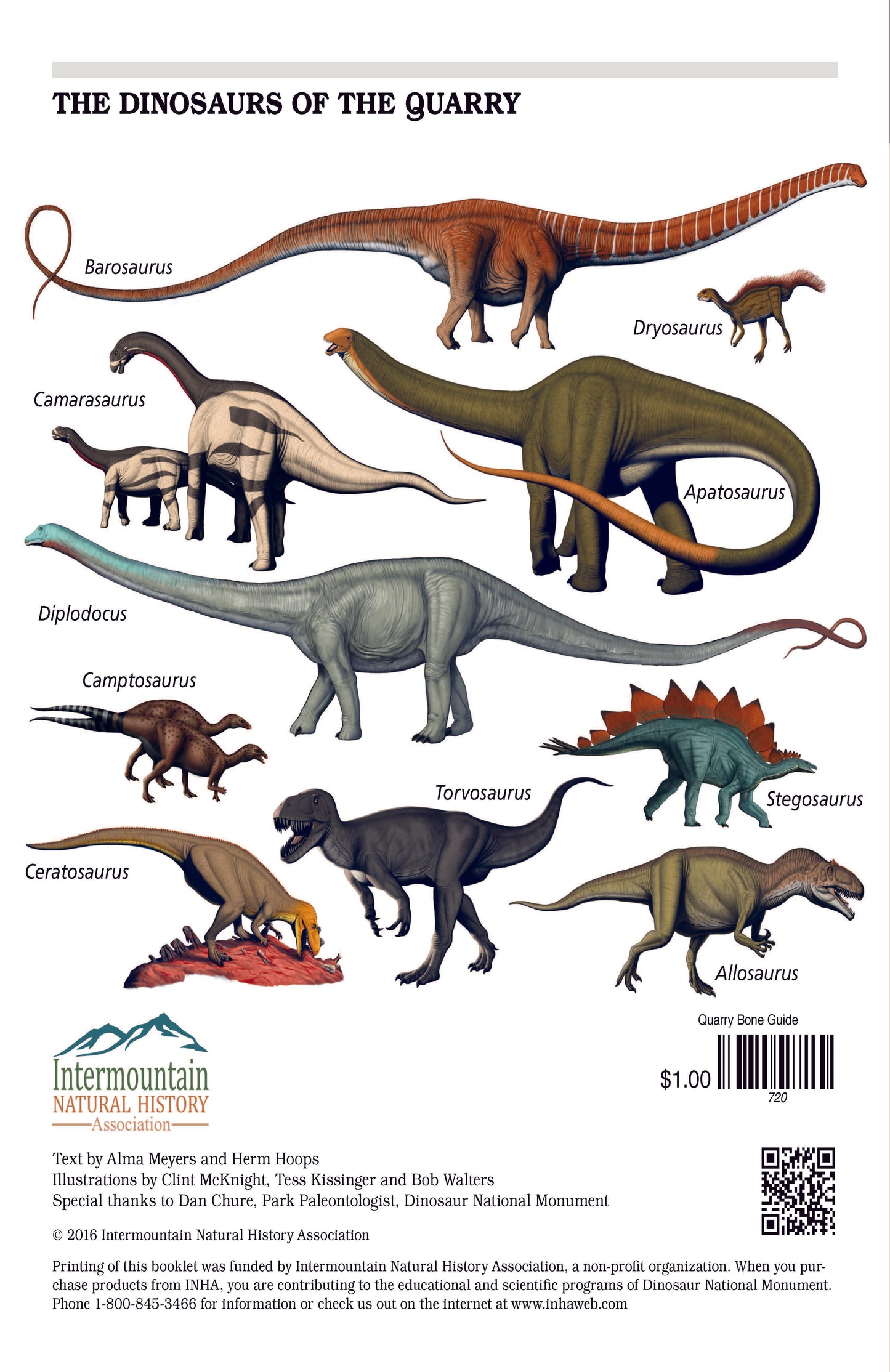 Guide to the Fossil Bones - DINO-D : Bone