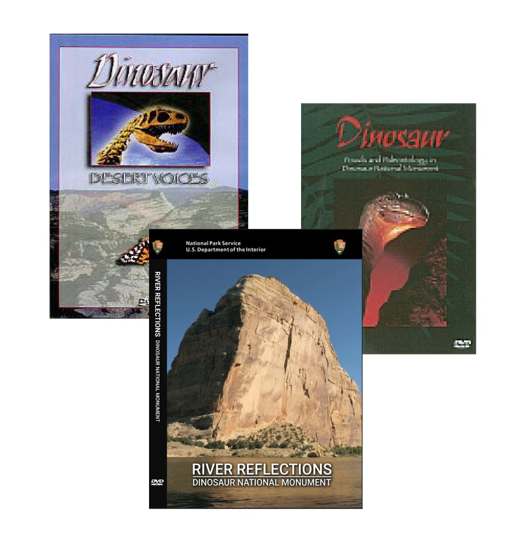 A/V - DVD Combo for DINO