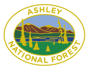 Lapel Pin - Ashley Nat'l Forest-FW