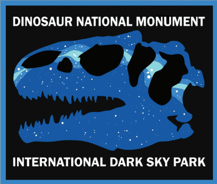 Lapel Pin - Dark Sky - Dinosaur NM: D