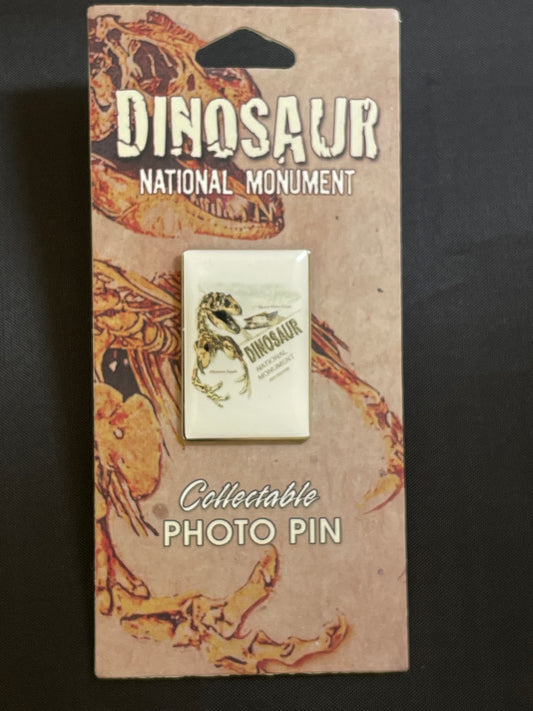 Photo Pin - Dinosaur Artwork - 61219-PIN