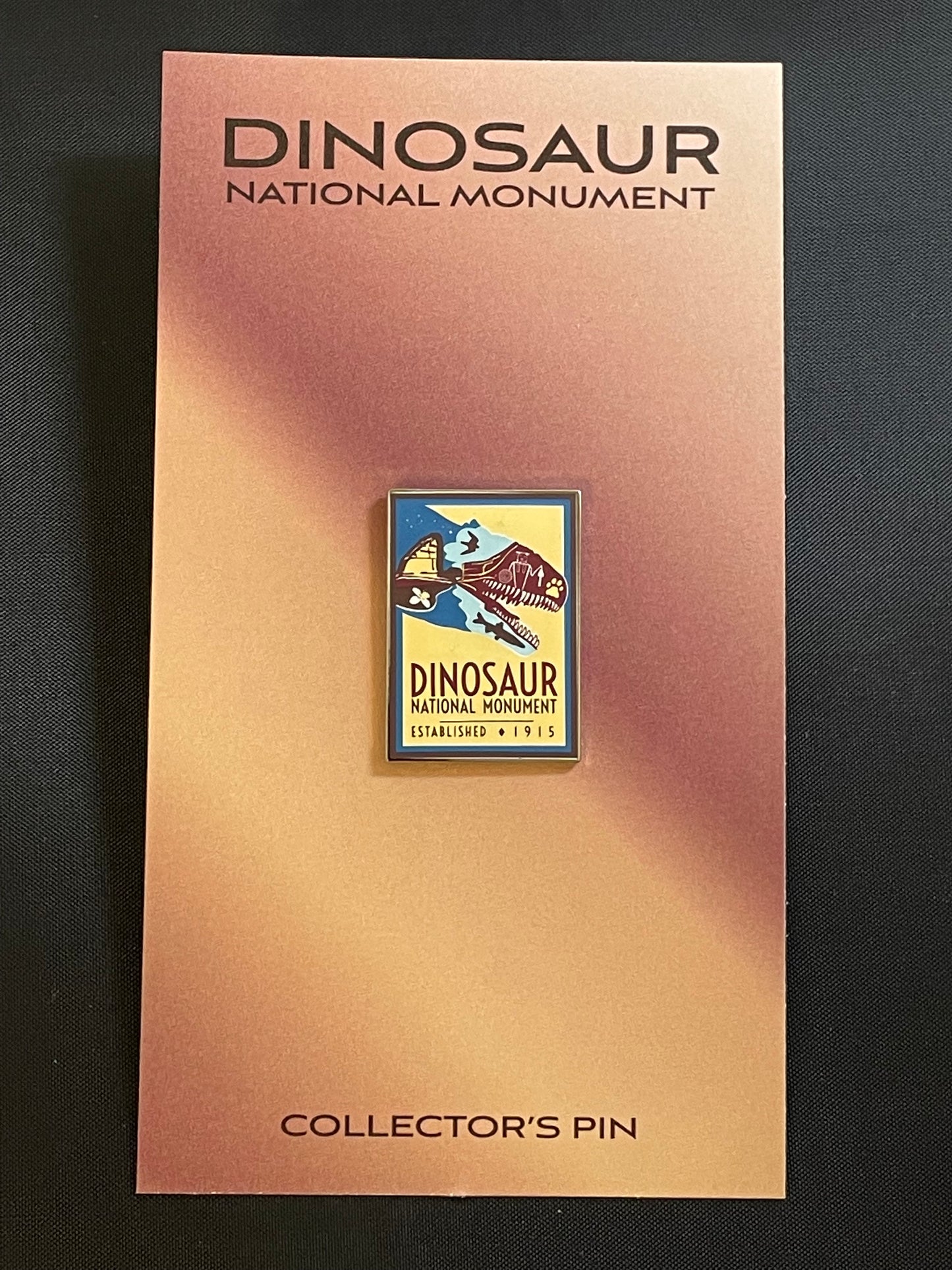 Lapel Pin - DNM Centennial